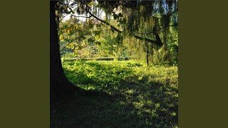 пропущенный звонок