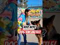 Epic Rap Battle: Girl vs. German Shepherd! 🎤🐾 #rapbattle #funnydogs #germanshepherd #skatepark