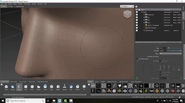 Mudbox 03 06 Displaying a Different Subdivision Level