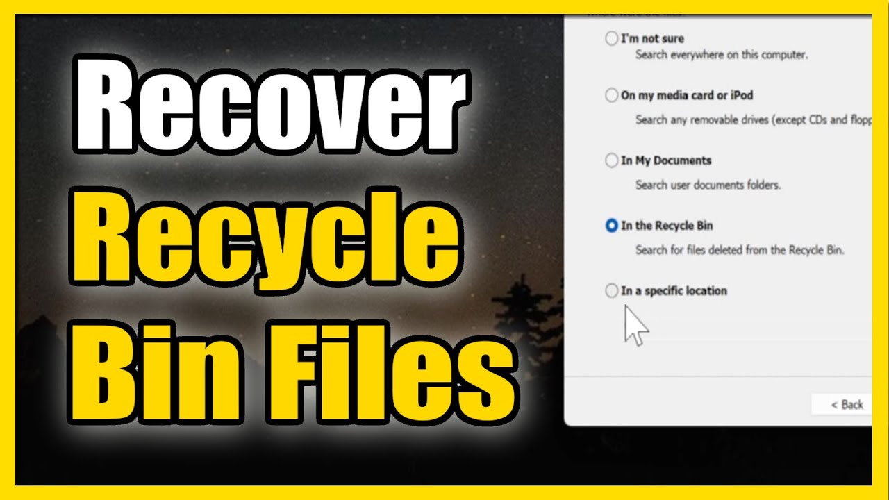 How To Recover Deleted Files From Recycle Bin On Computer Windows
