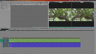 INTRO TO AVID EDITING 1  SPLICING IN YOUR AVID TITLES