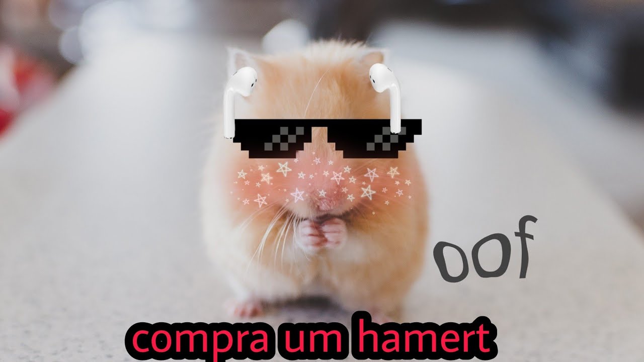 ta carente compra um hamert - YouTube