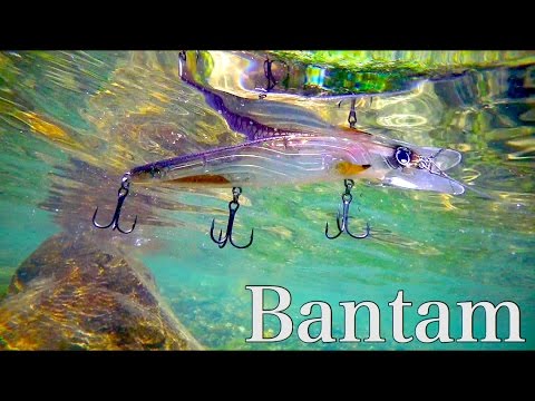 Shimano] Bantam - Amazing lip flash! [Underwater action