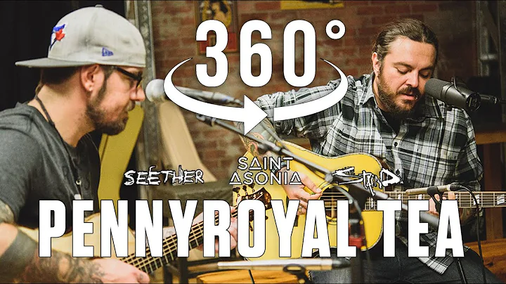Pennyroyal Tea (Nirvana) Acoustic Cover by Shaun Morgan of @Seether, with @Saint Asonia @Staind