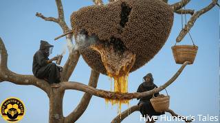 Climbing a Giant Dead Tree for Wild Honey — A Truly Unique Extreme Hunt