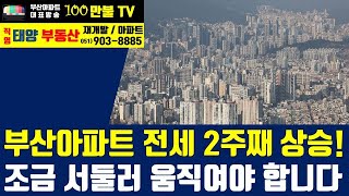 백만불TV] 부산부동산 - 부산아파트 전세가 2주연속 …