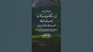 #اكسبلور #quran #المصحف #القرآن_الكريم #foryou #راحة_نفسية #duet #quran #لايك #سورة_الحجرات