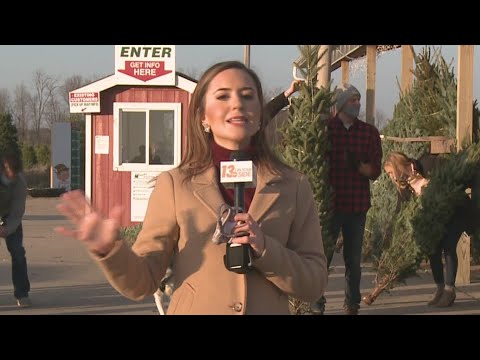 Local Christmas tree farm opens for season - YouTube