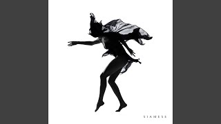 The Chase - Siamese
