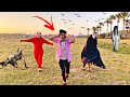 غابه الزومبي الجزء الثاني☠️ | السلسيلي