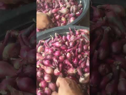 Araw ng pamalengke dahil off day