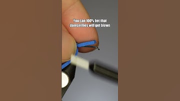 Damselfly | Fly Tying Tutorial