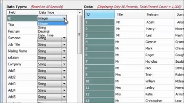 Acuate Data Profiling Tool: How to define data types