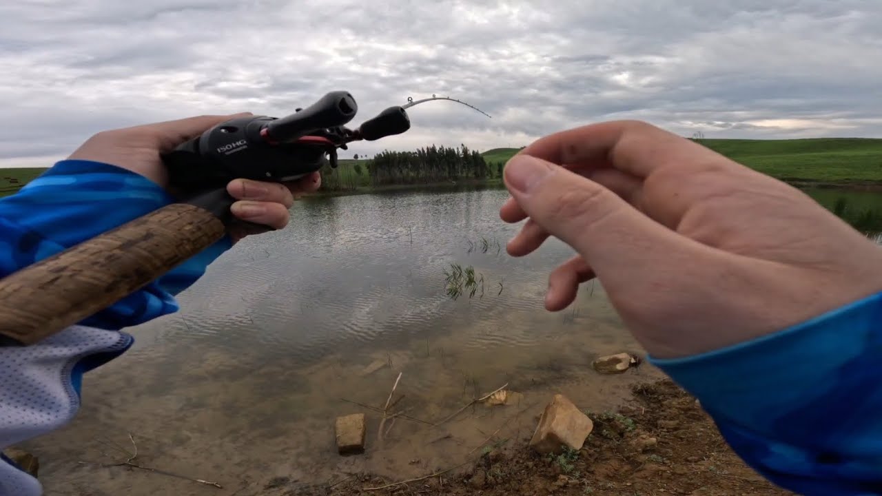 Bass fishing Netherwood farm KZN Midlands Bass Manager The Best Bass Fishing Page On The