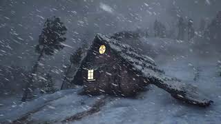 BRUTAL ALASKAN WINTER with EXTREME COLD and blizzard for sleeping | SUBZERO WILDERNESS DESCENT 2025