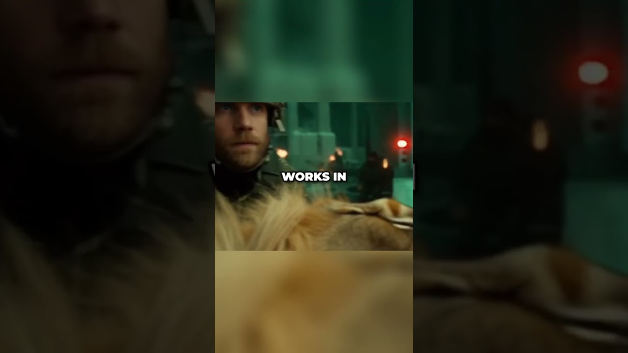 Silent Rescue: Saving Zoo Animals After City Destruction 