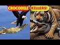 5 Animals Powerful Enough to Kill a Crocodile