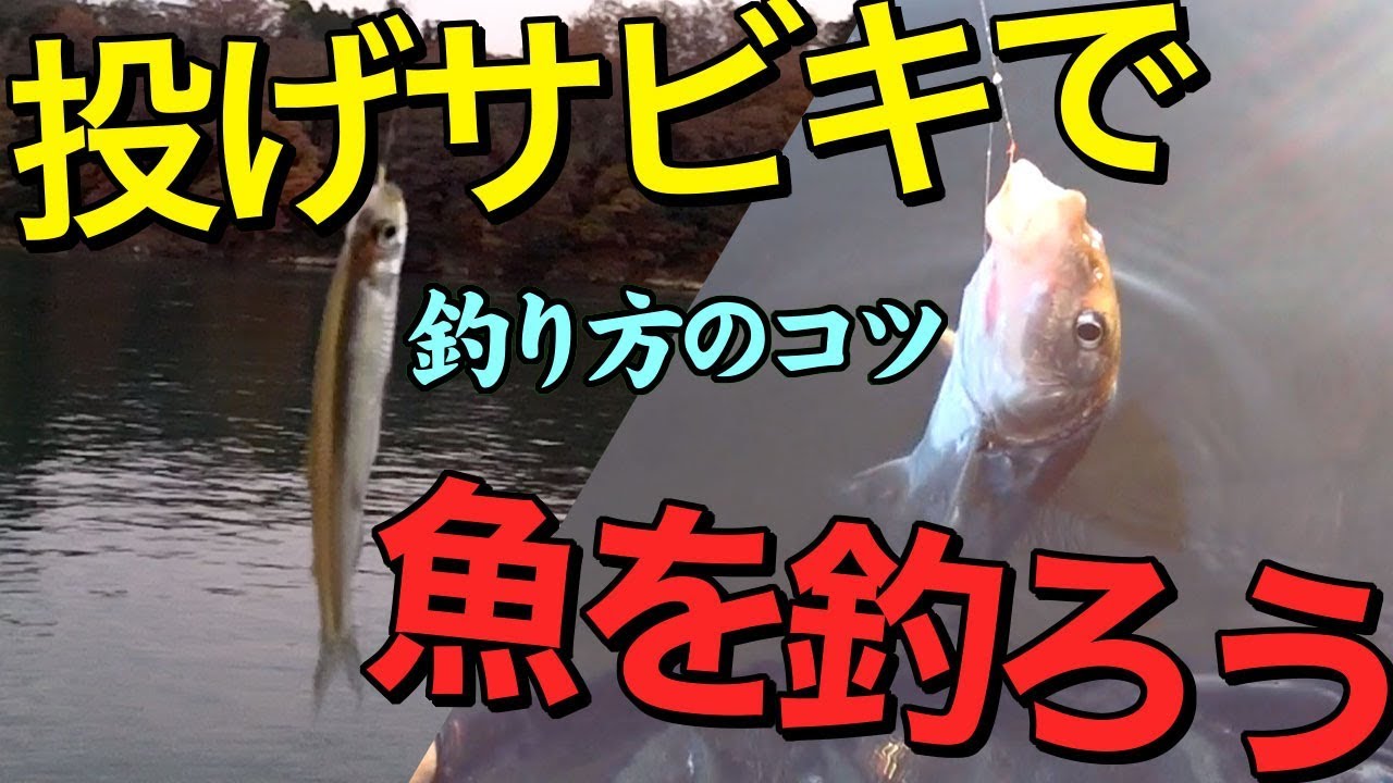 魚釣り講座 冬の川で投げサビキ釣り 釣り方のコツ Youtube