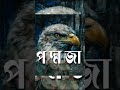 #poddoja #novel #voice #fell