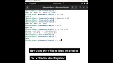 Linux Tutorial:09 - Moving files into a directory #shristitechacademy #linuxtutorialforbeginners