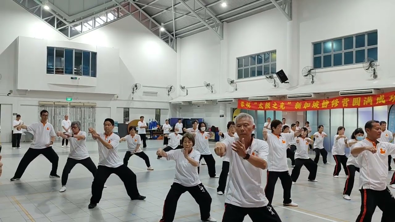 Chen Zheng Lei Training Camp - "Light of Taiji" / 陈正雷太极之光 新加坡站 (3)
