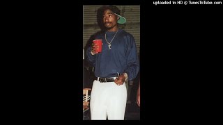 Tupac Shakur - Thug Style (nLM Remix) Beat by DJ Holla