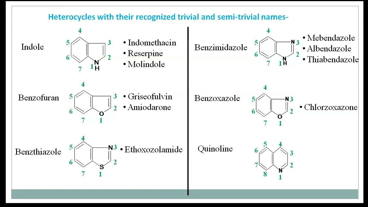 Purines and Pyrimidines