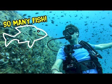 cheapest-scuba-diving-in-asia-|-perhentian-islands