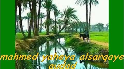 تلاوات طيبه مباركه يتلوها علي مسامعنا فضيلة الشيخ / محمد يحي الشرقاوي