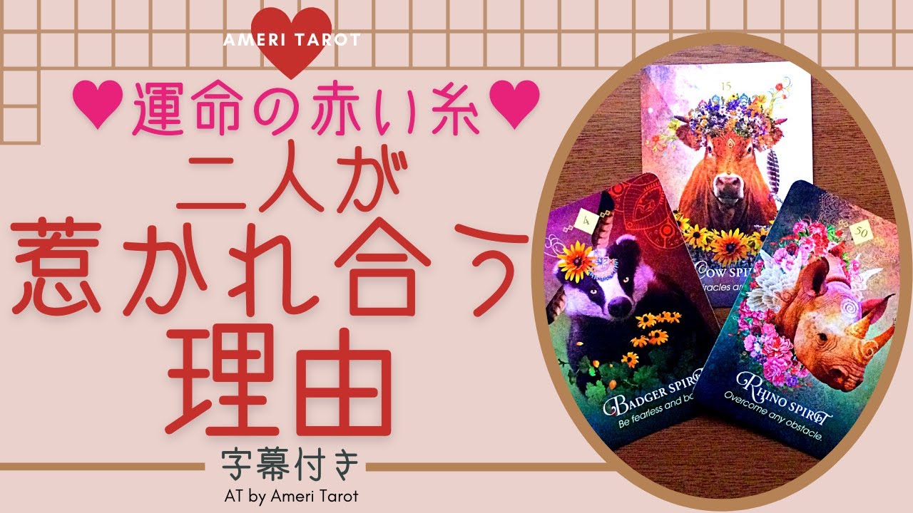 タロット占い 二人が惹かれ合う理由 相手の気持ち Youtube