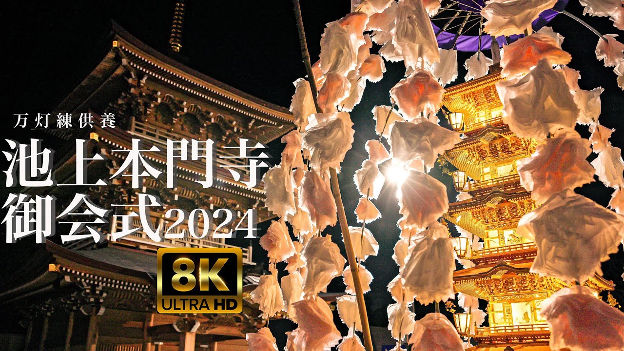 hq720.jpg?sqp=-
