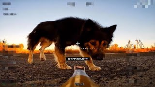 ❗️FPV Дрон Атакует - Собакен ❗️