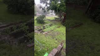 Look How The Rain is Making My Garden Grow So Beautiful No Rain No Food