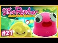 Disko Meydanı, Başlangıç ve Bitiş - Slime Rancher Türkçe - S2 Bölüm 21