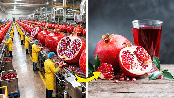 Inside a Modern Pomegranate Factory 🔥 From Farm to Delicious Drink (Full Process)