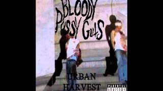 Bloody Pussy Guts - Sepsistic Statistic