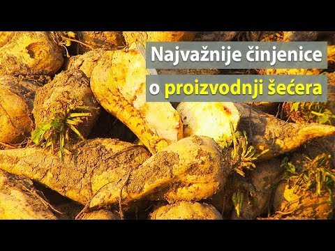 Video: Kako se saharoza ekstrahuje iz šećerne trske?