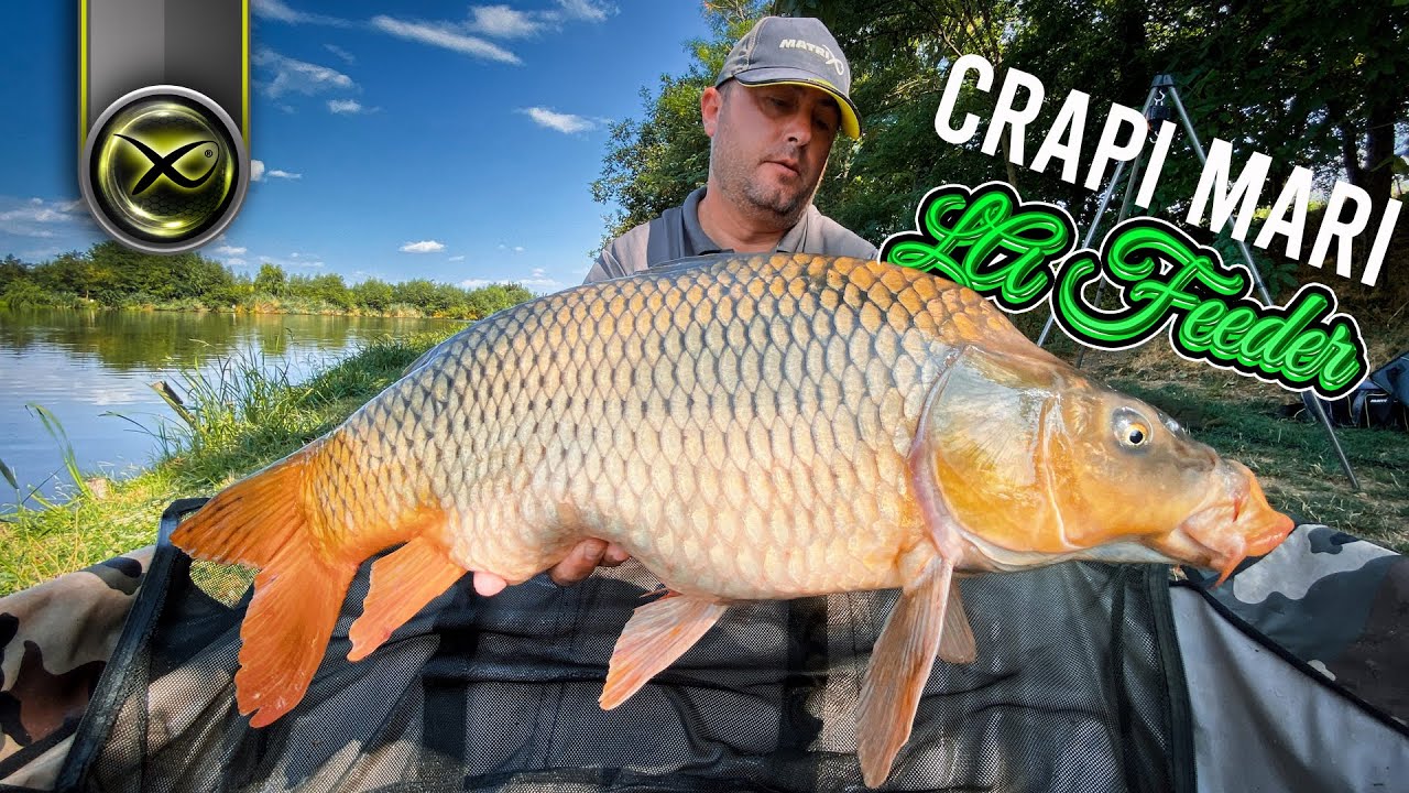 Pescuit la feeder la distanta, vizand crapii mari ai lacului Creata 3