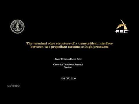 APS-DFD 2020 presentation on transcritical high-pressure propulsion systems