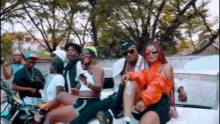 Tesha Teribo - Utauponza (Official music video) ft. Ngalu