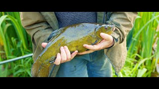 Best places in Ireland - Templemore Park - an excellent fishing spot !