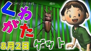 強いムシをたくさんゲットしたい！【ぼくのなつやすみ３実況】【ぼくなつ3】赤髪のともPart2