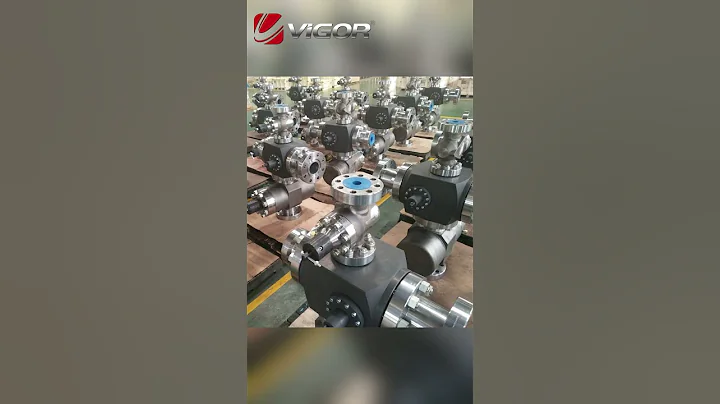 China Vigor Rod Bop | API 16A | Manufacturer