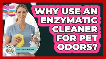 Why Use An Enzymatic Cleaner For Pet Odors?