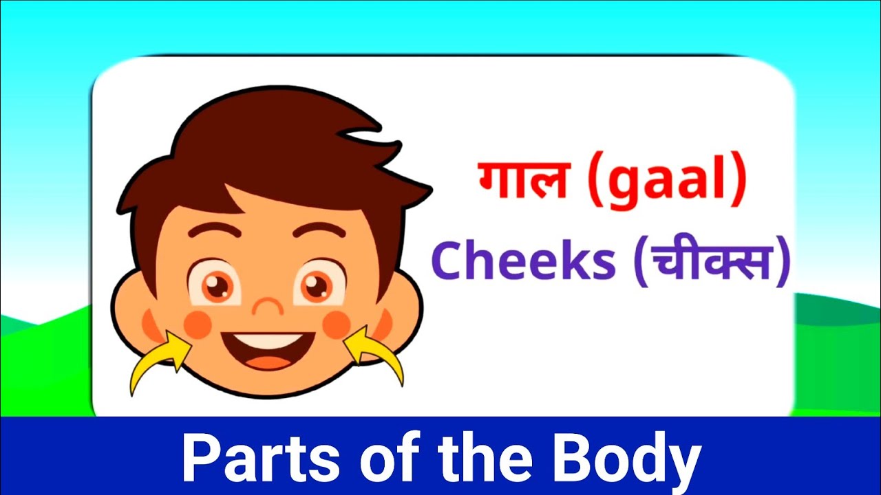 Parts of the Body | Parts of the Body for LKG Kids | Learn Body Parts & Sense Organs | #bodyparts