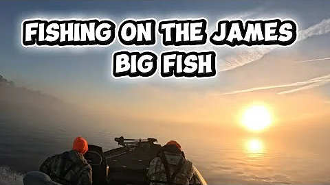 Yea they do Catch big fish #g4outdoors #bassfishing #fishing #sportfishing 