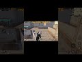 حاجات غلط كنا مفكرين أنها صح 