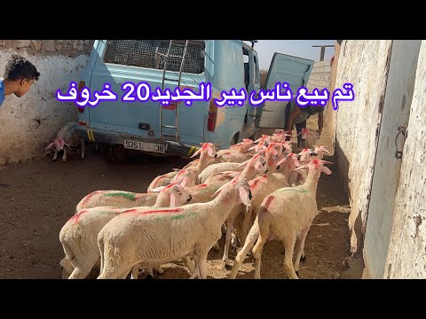 السلام عليكم تم بيع متبيع من بير الجديد 20 خروف الله يسهل عليها