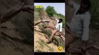 "Whoopee Whoops | Comedy Gold | Funny Fails | Epic Bloopers  #failsandfunnies  #hilariousblunders