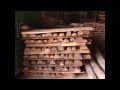 Producción de Balso, Madera de Balsa - TvAgro By Juan Gonzalo Angel